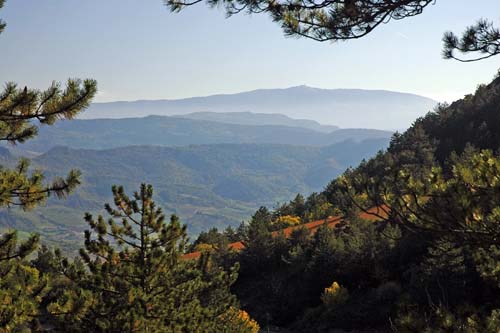 Die Nordflanke des Mt. Ventoux