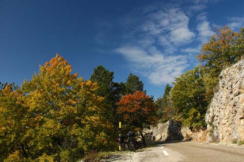 Herbstfarben am Mt. Ventoux