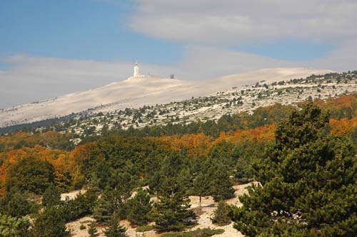 Die weisse Kalkkupe des Mt. Ventoux