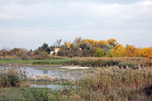 Infozentrum la Capeliére in der Camargue