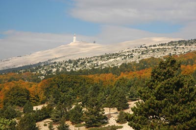 Die weisse Kalkkupe des Mt. Ventoux