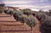 extremadura_120