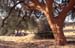 extremadura_136