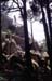 extremadura_224