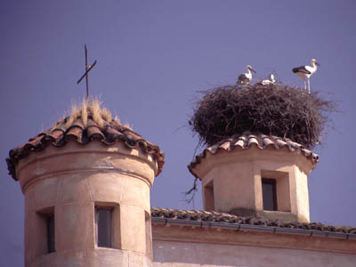 Storchennest auf dem Kirchdach in Jarandilla