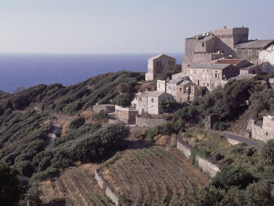 Auf der Halbinsel des Cap Corse