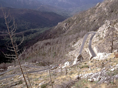 Niedergebrannter Wald am Col de Sorba