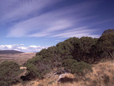 Auf den H&ouml;hen der Great Dividing Range