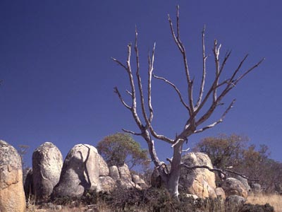 Bizarre Felsszene bei Berridale