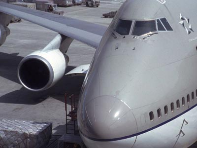 Der Jumbo nach Frankfurt...