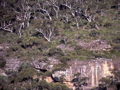 Sandsteinplateau in den Blue Mountains