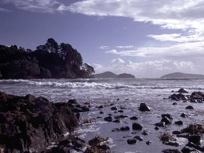 Long Bay am Hauraki Gulf