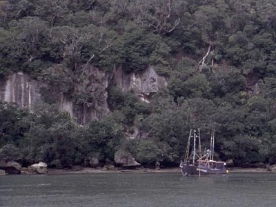 In Whitianga an der Cook Bay