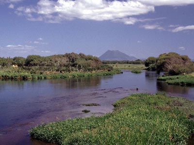 Vulkan am Tarawera-River