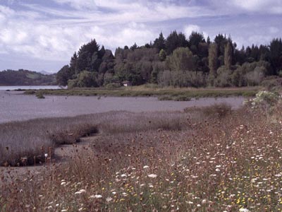 Watt am Ohiwa Harbour