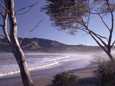 Tokomaru Bay