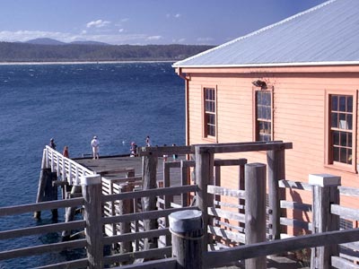 Der alte Anleger in Tathra