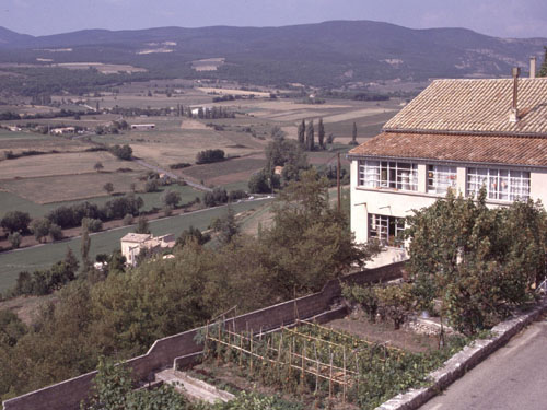 Gemsegarten in Sault am Rande der Hochebene